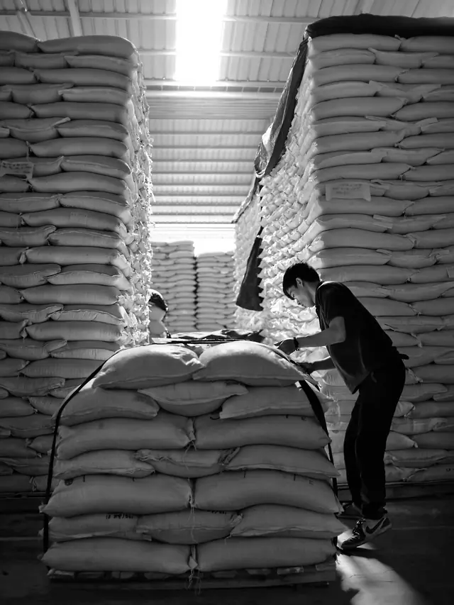 Pekerja di antara tumpukan karung pelet