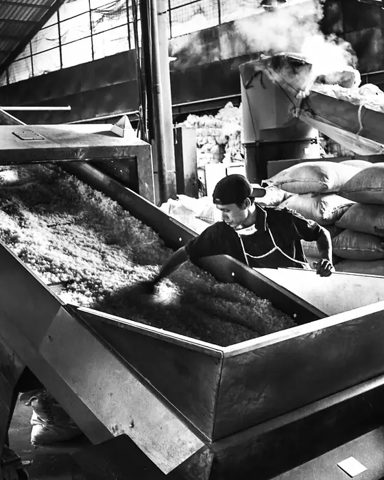 Lini pencucian plastik dengan operator